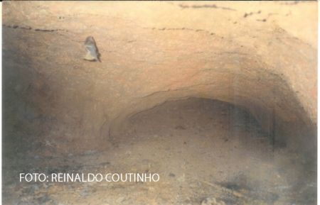 O misterioso “suspiro de Ubajara” existente no povoado Alto Alegre em São João da Fronteira – Piauí