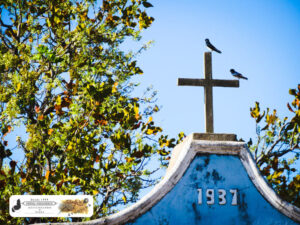 Andorinhas descansam sobre o cruzeiro mor da capela da Chapada do Bidoca. Foto em 7 de setembro de 2022.