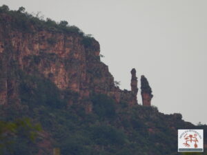 Detalhe da Serra Dourada