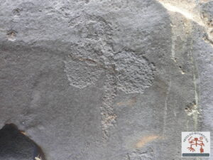 Gravuras rupestres
