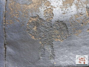 Gravuras rupestres