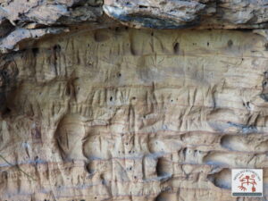 Painel com arte rupestre