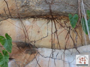 Painel com arte rupestre
