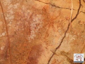 Painel com arte rupestre