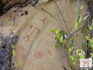 Painel com arte rupestre